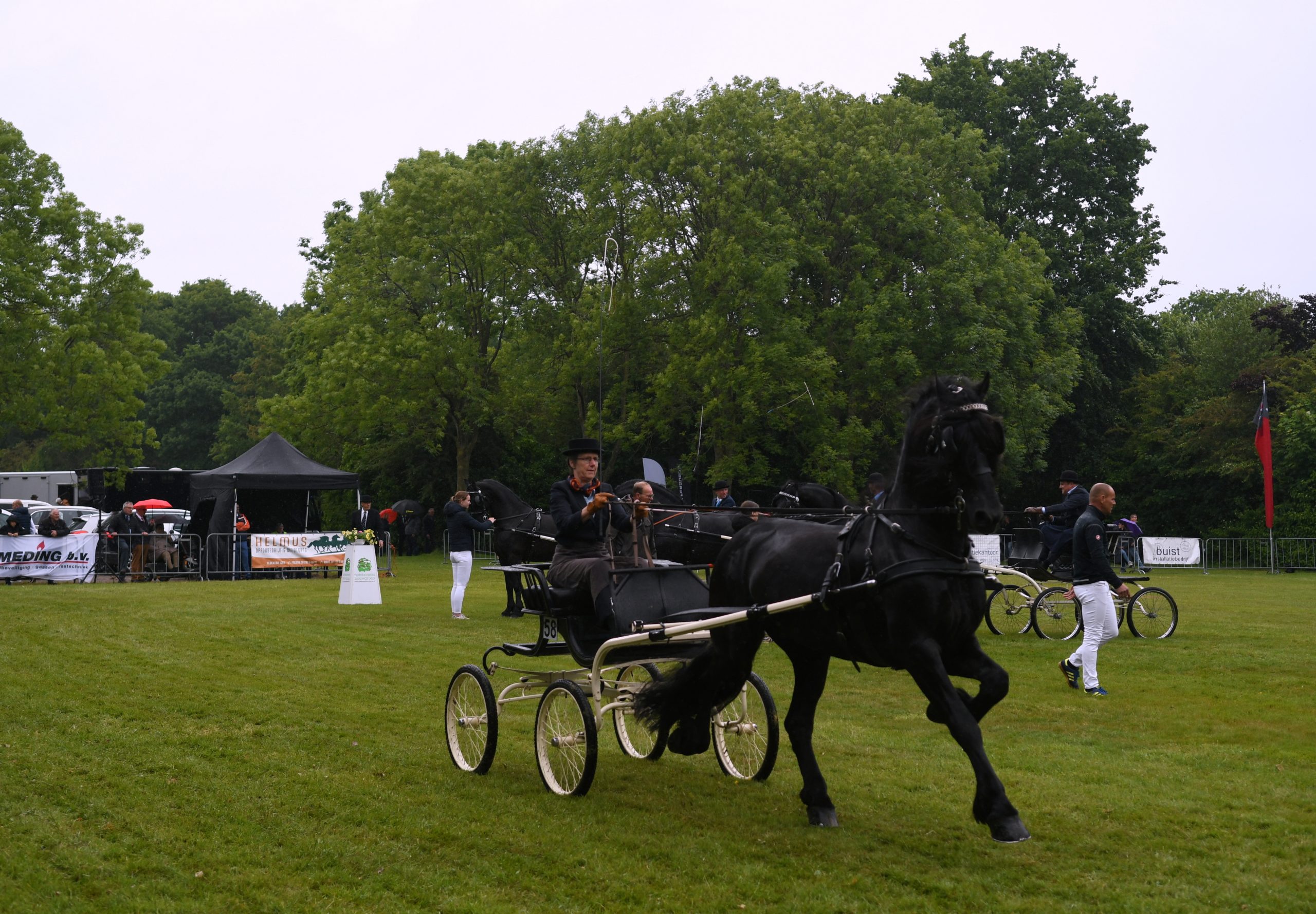 Ondanks regen groot enthousiasme bij 26e Tuigpaardenconcours in Grootegast