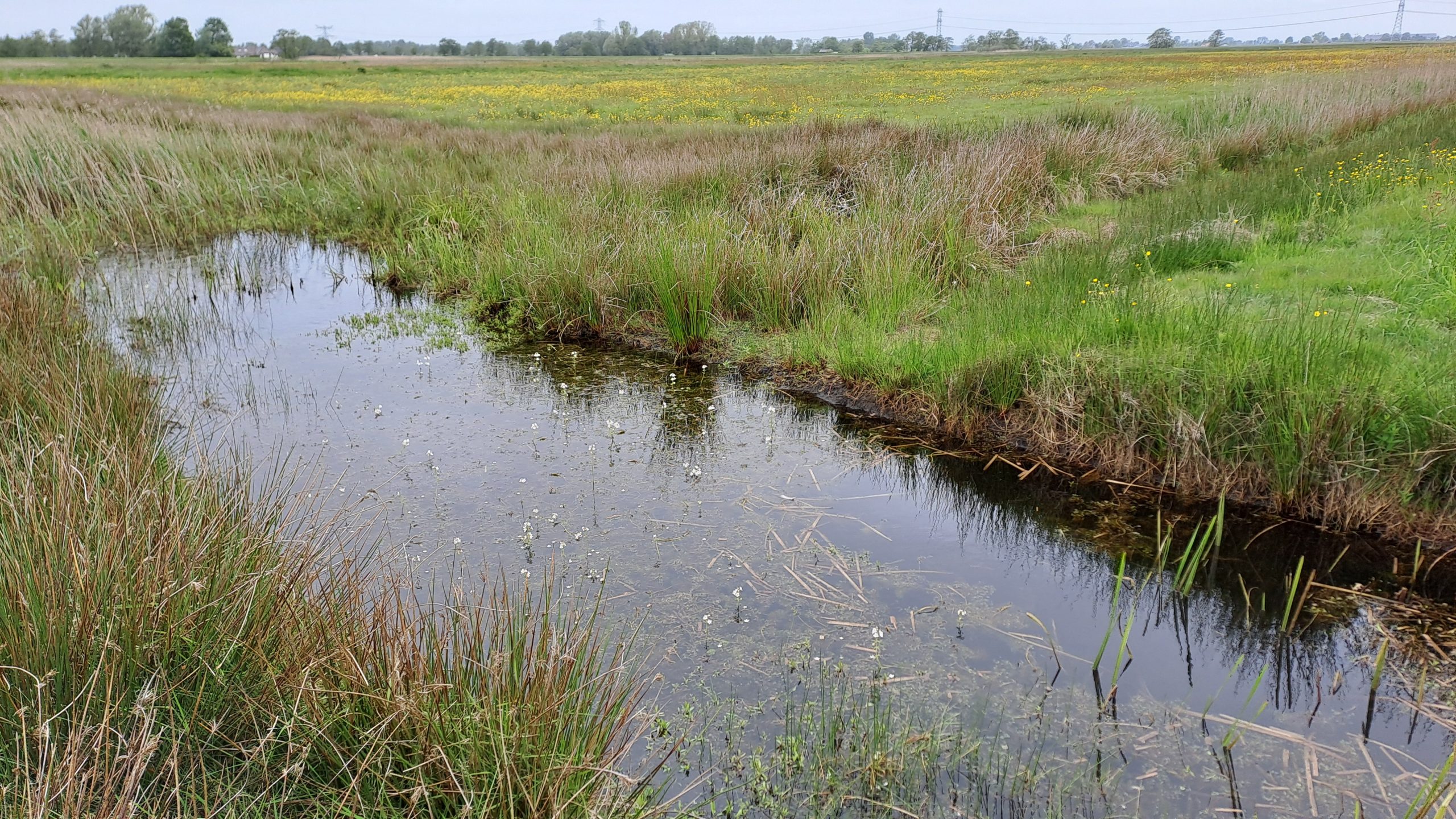 De Drie Polders
