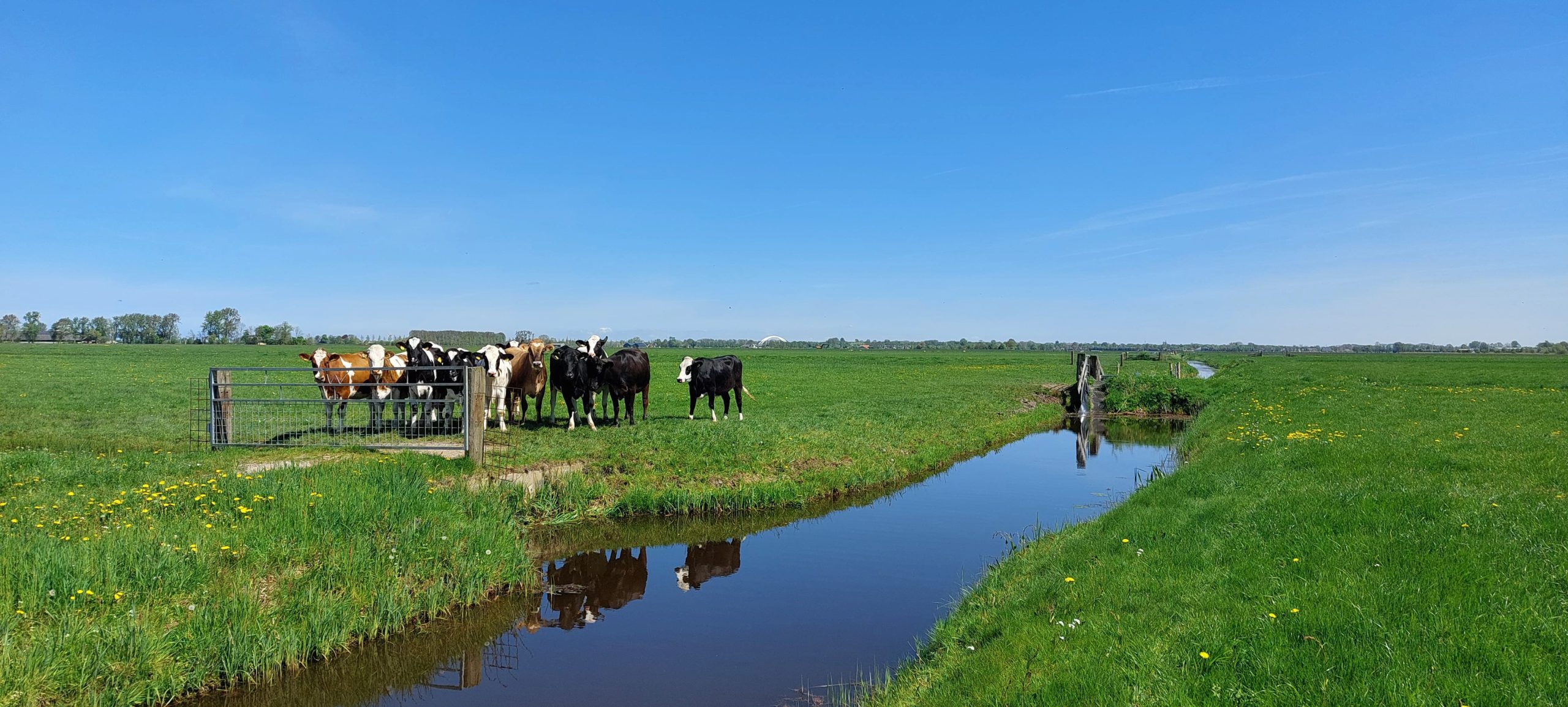 Waterbeeld 15 mei 2025 Waterschap Noorderzijlvest