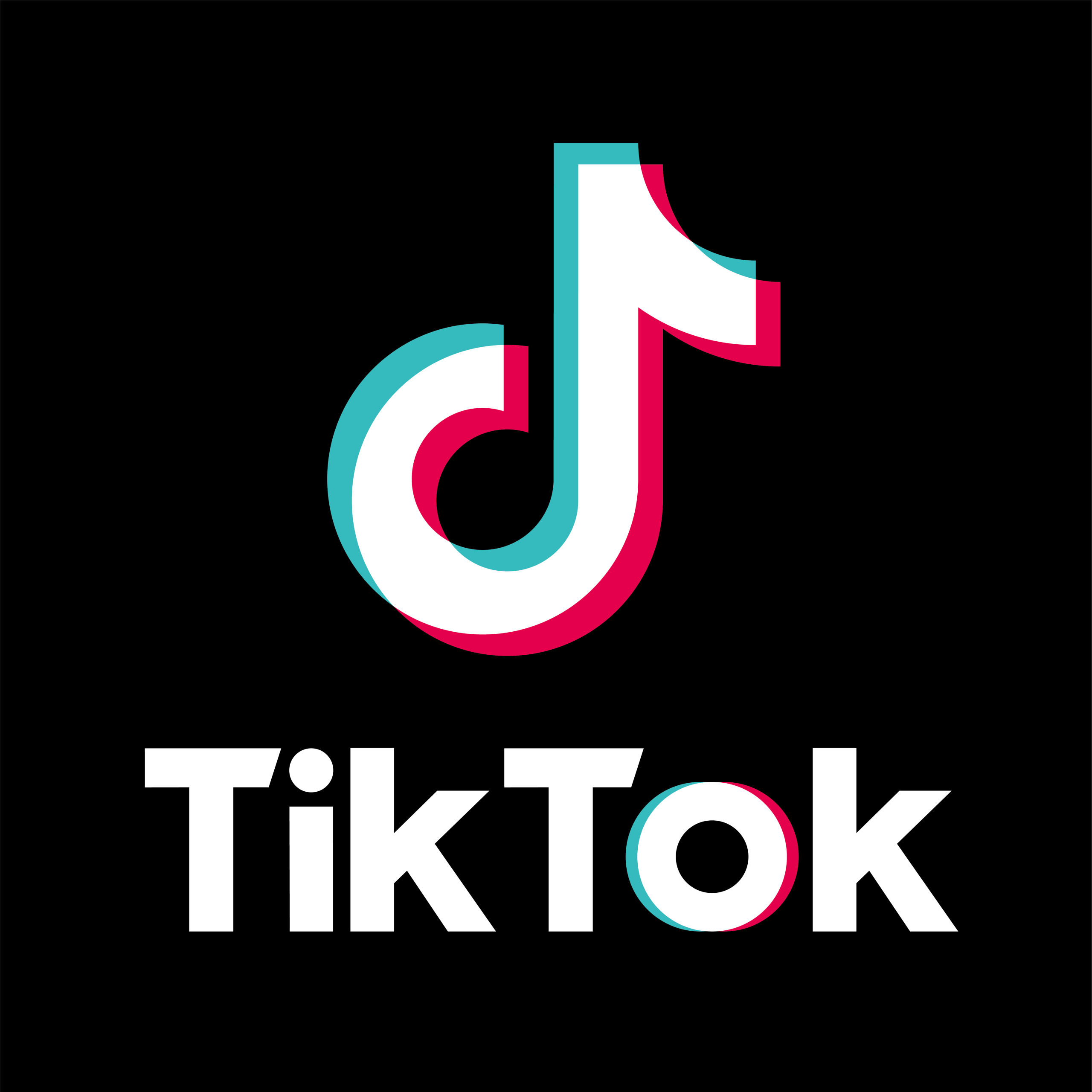 TikTok-logo-CMYK-Tag