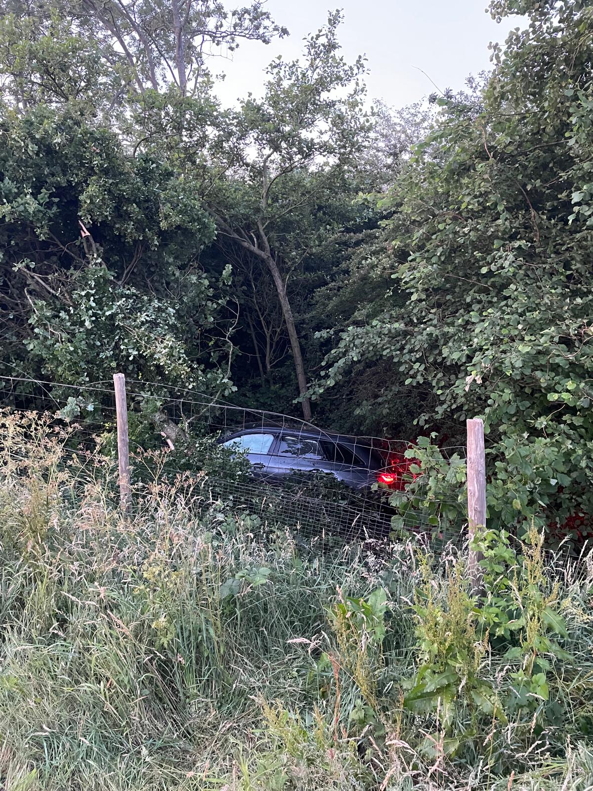 Auto belandt in bossages langs A7 bij Marum: bestuurder naar ziekenhuis gebracht