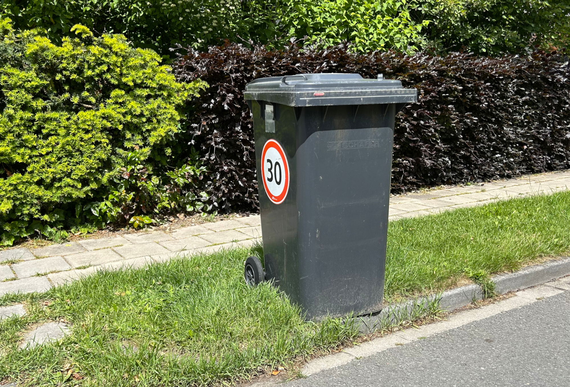 grijze container zuidhorn