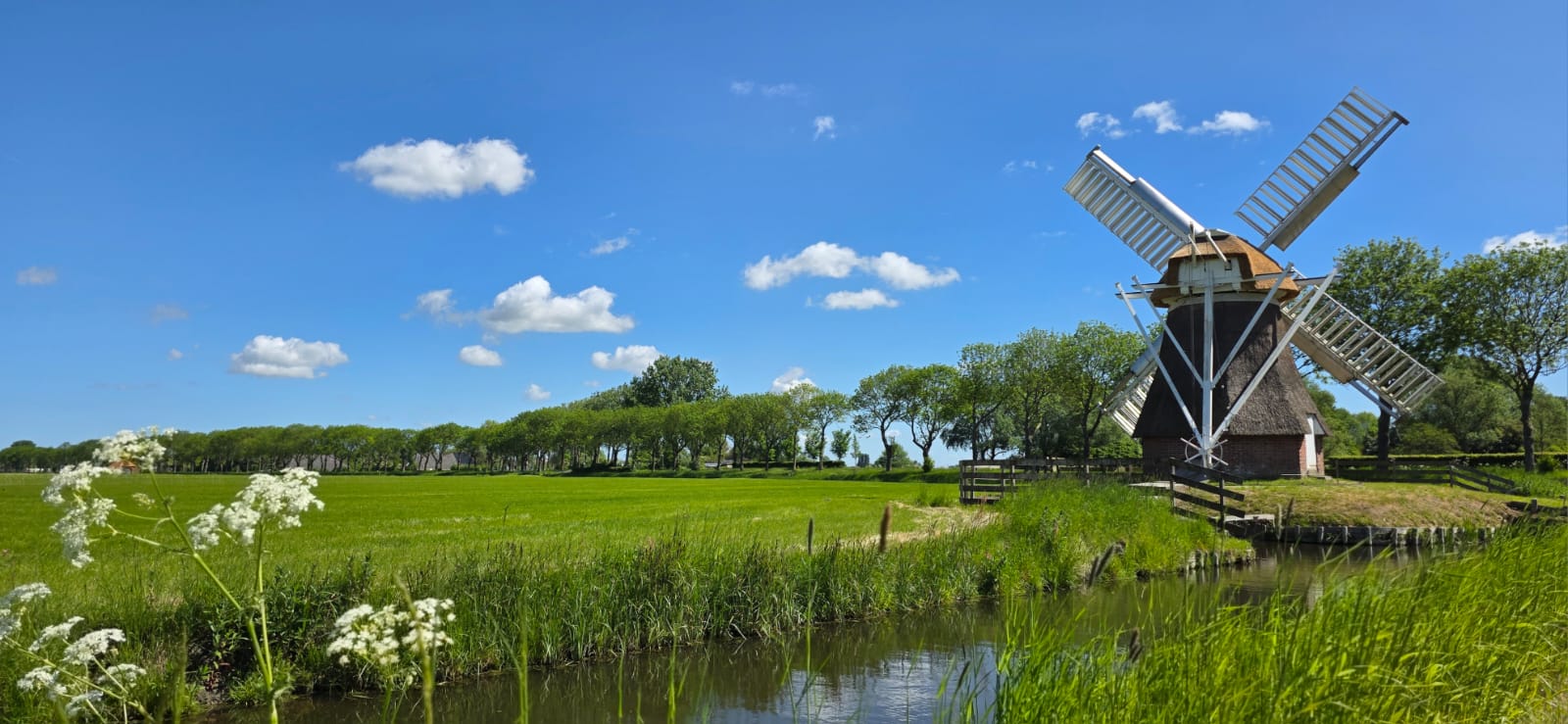 waterbeeld 4 juni 2025