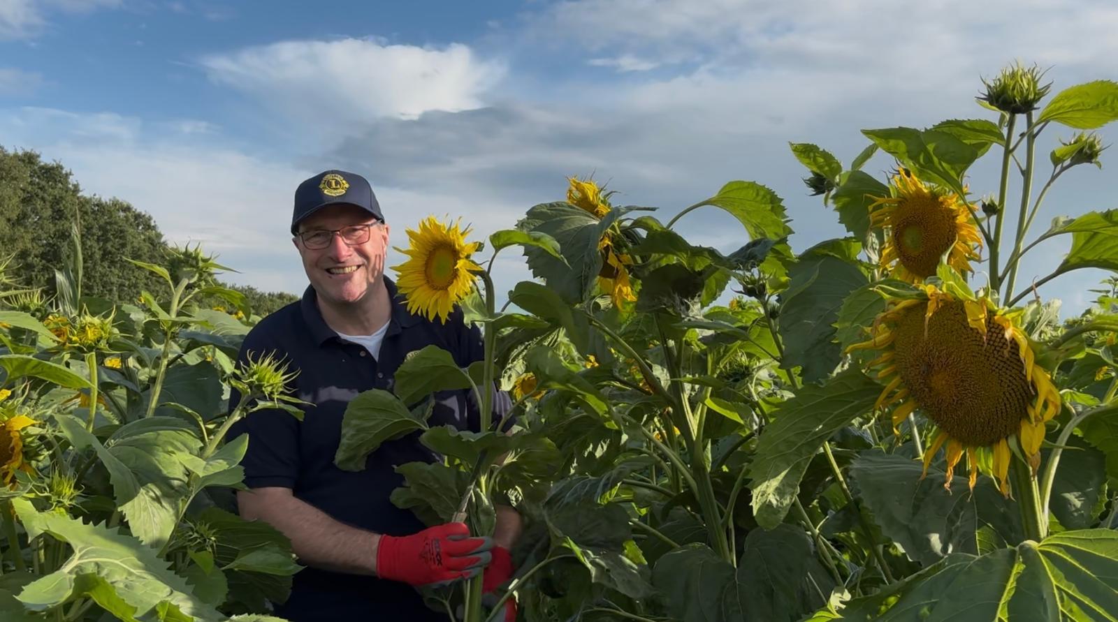 Hendrik Jan Achterhof Lionsclub Westerkwartier zonnebloemen