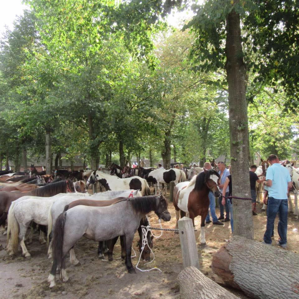 Norgermarkt