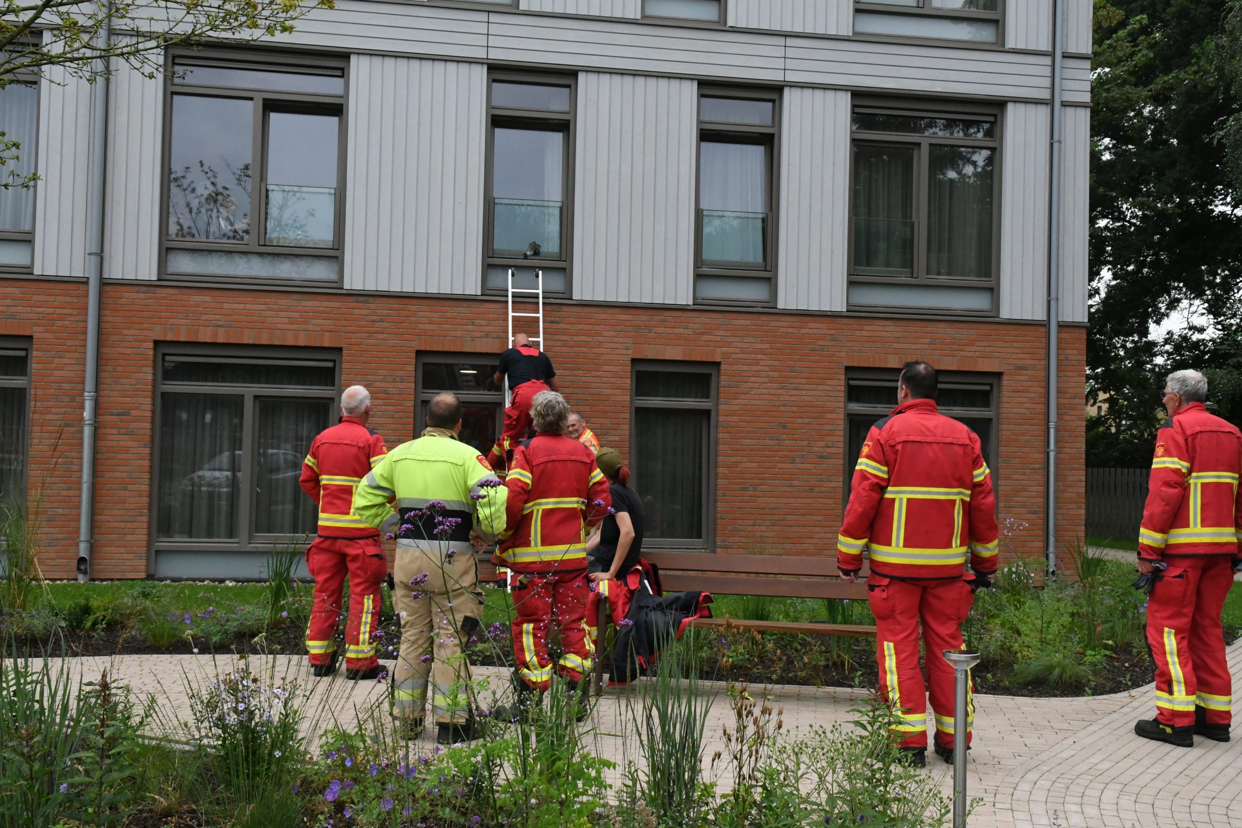 Brandweer Marum bevrijdt vastzittende Vlaamse gaai bij verzorgingstehuis