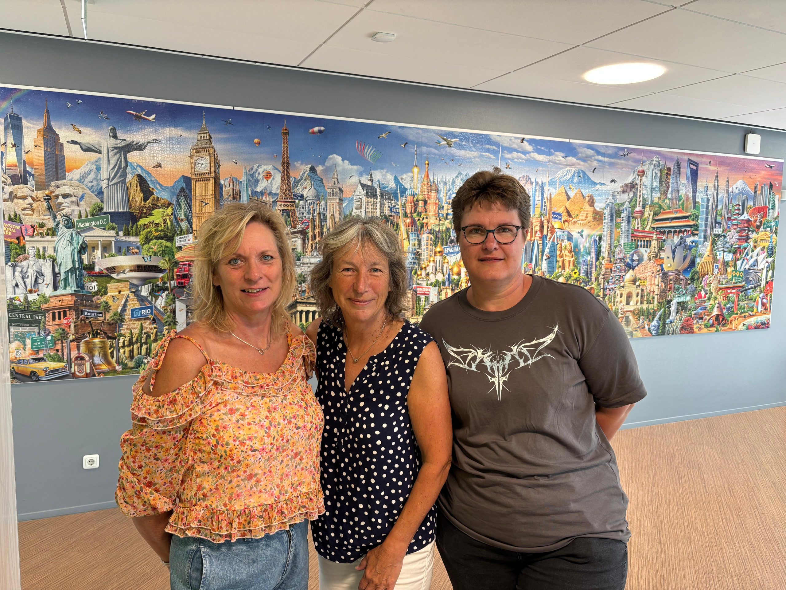 Puzzel Grootegast Het Hooge Heem
