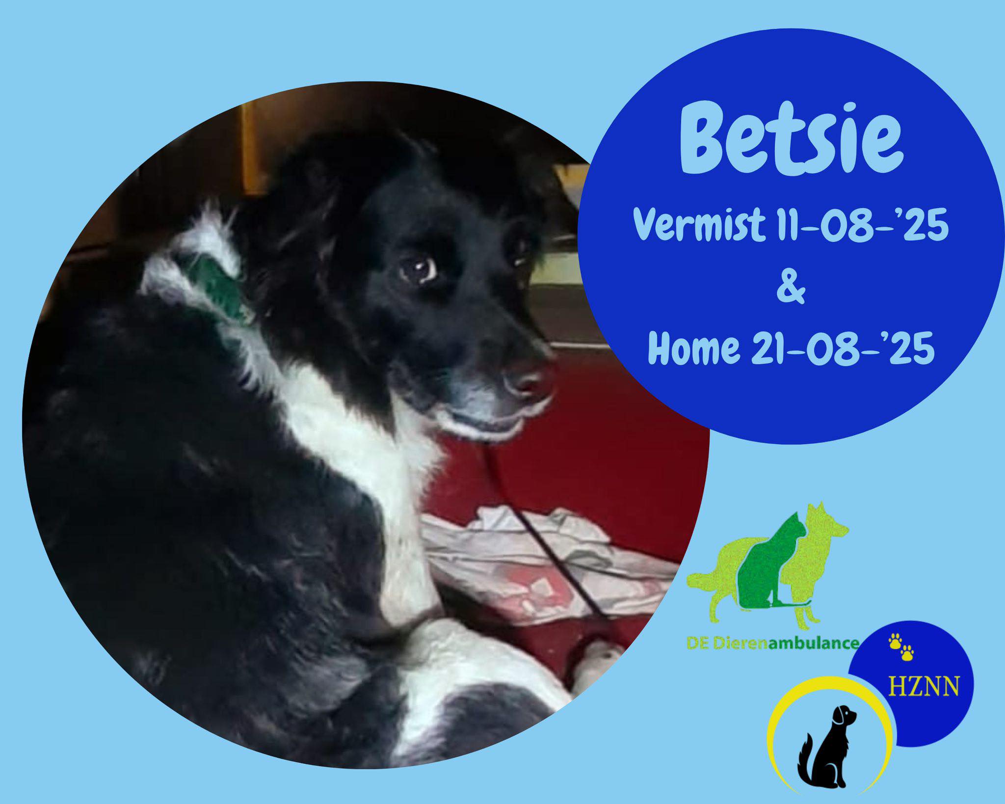 Hond Betsie Grijpskerk