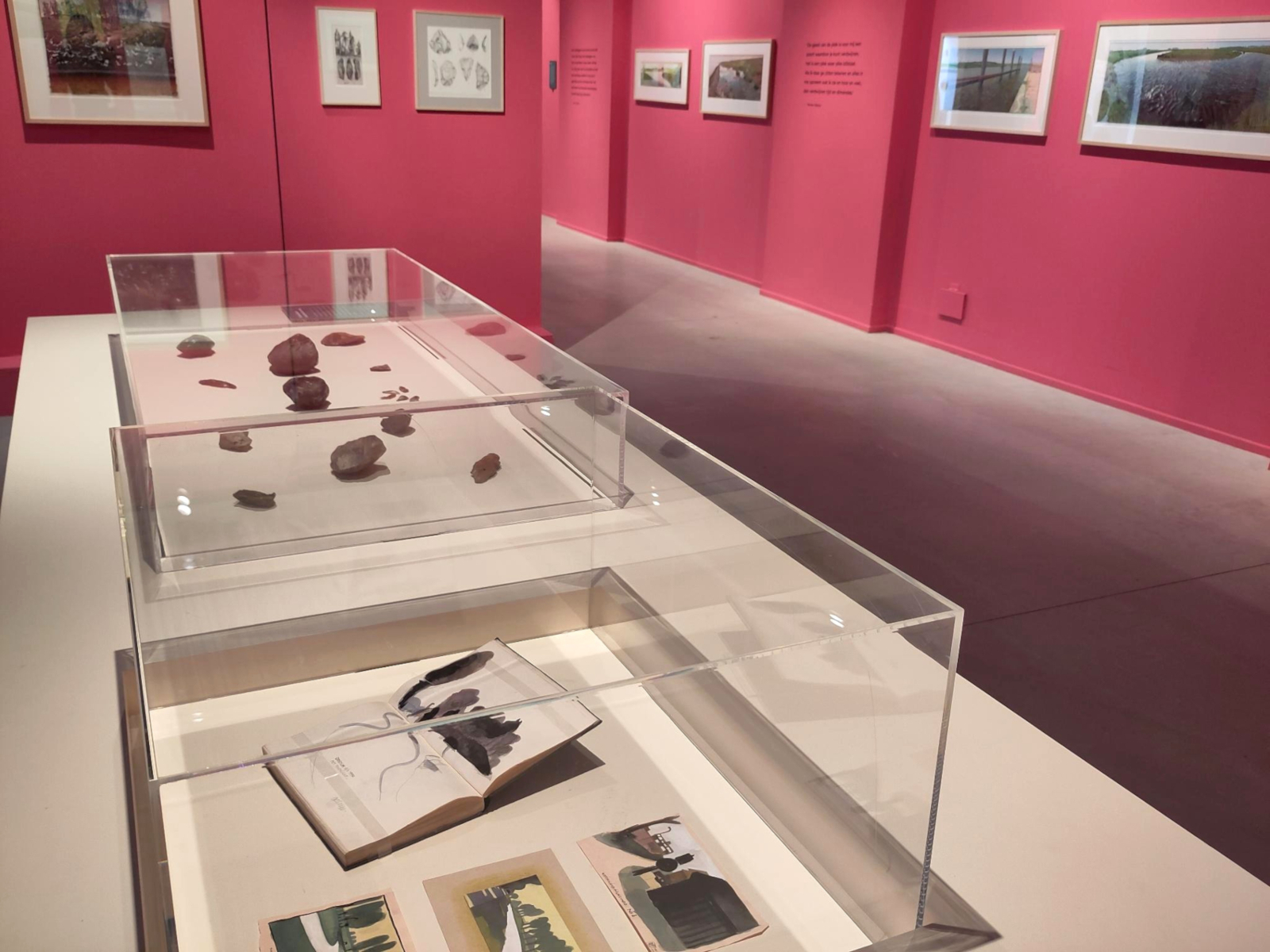 Foto zaal Museum Wierdenland