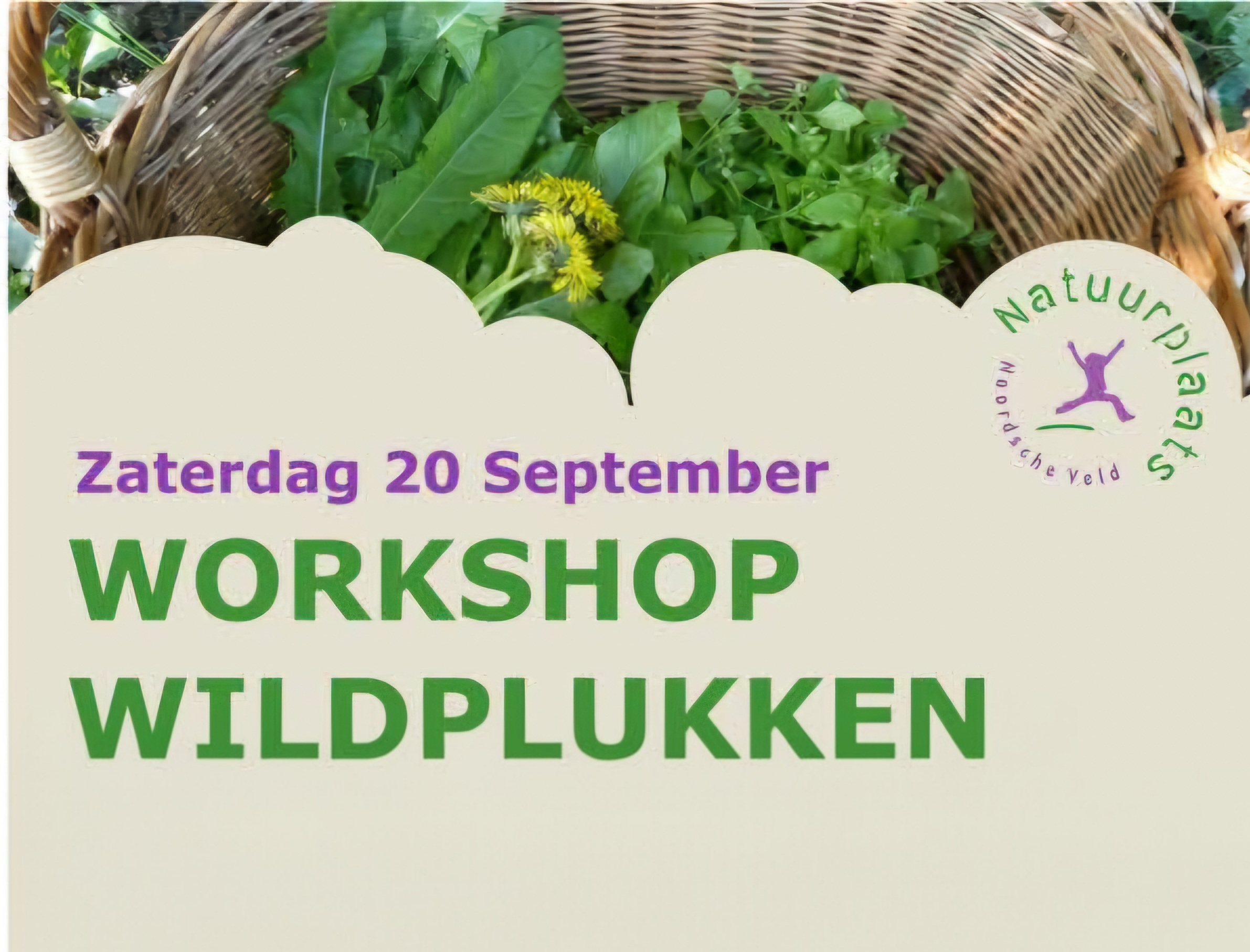 Workshop Wildplukken