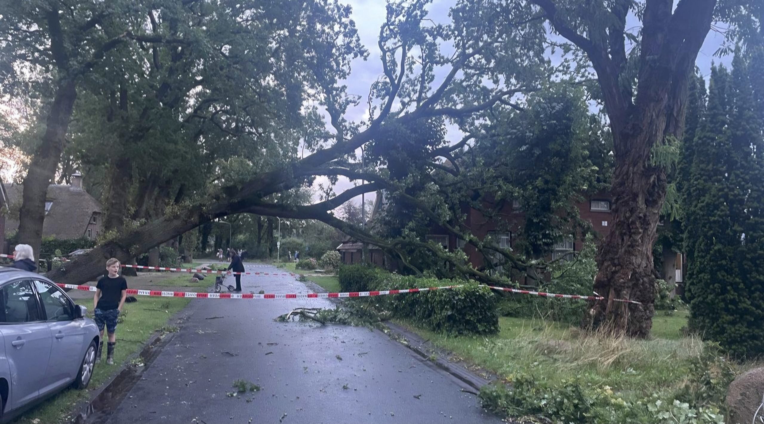 Omgewaaide bomen storm