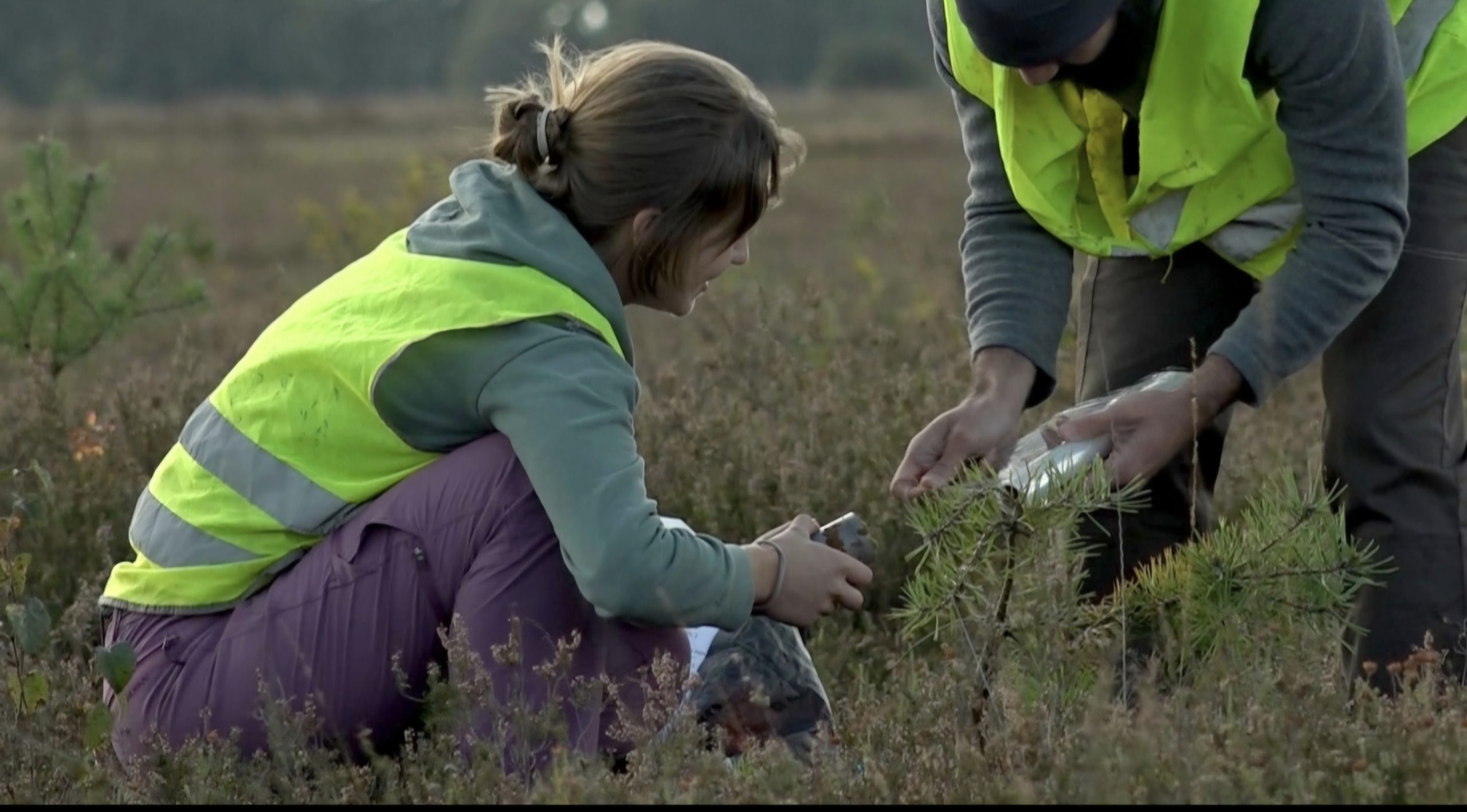 Onderzoek bodemleven Dwingelderveld