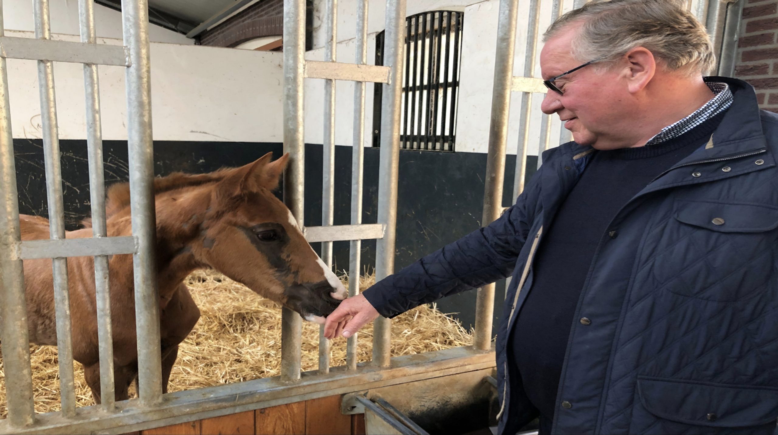 Paardenhandelaar Jan Brouwer Zevehuizen