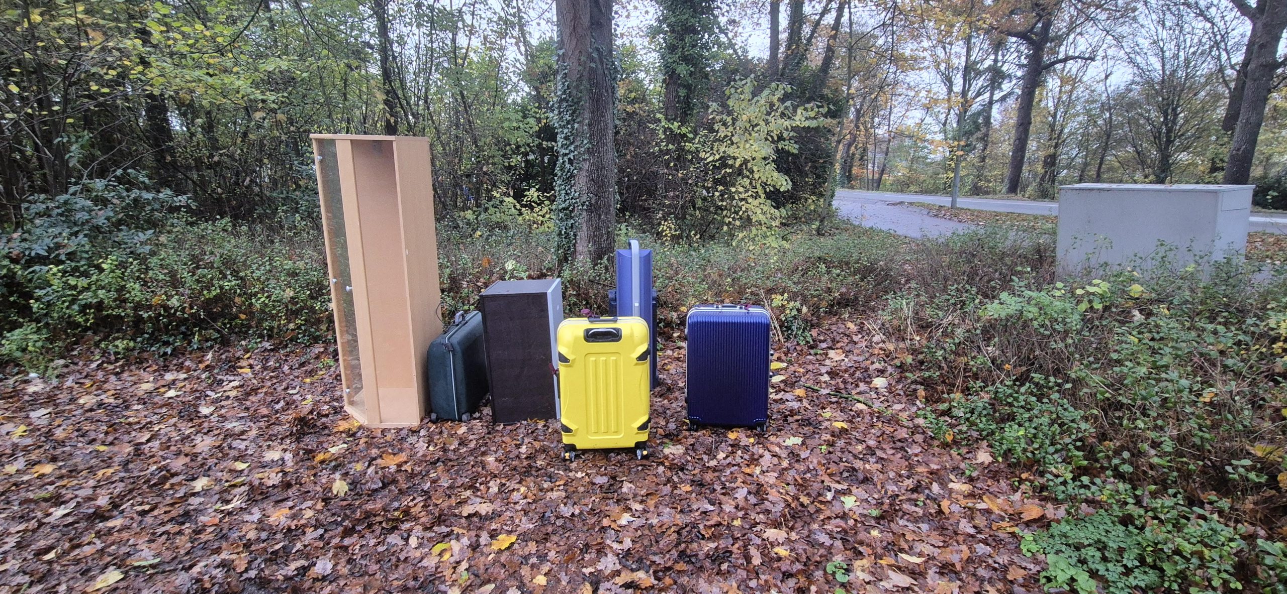 Foto: Michel Tinge/RTV Zulthe