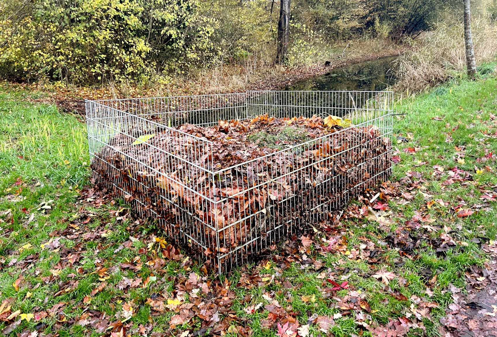 Bladkooi gemeente Westerkwartier - EvertBuiten