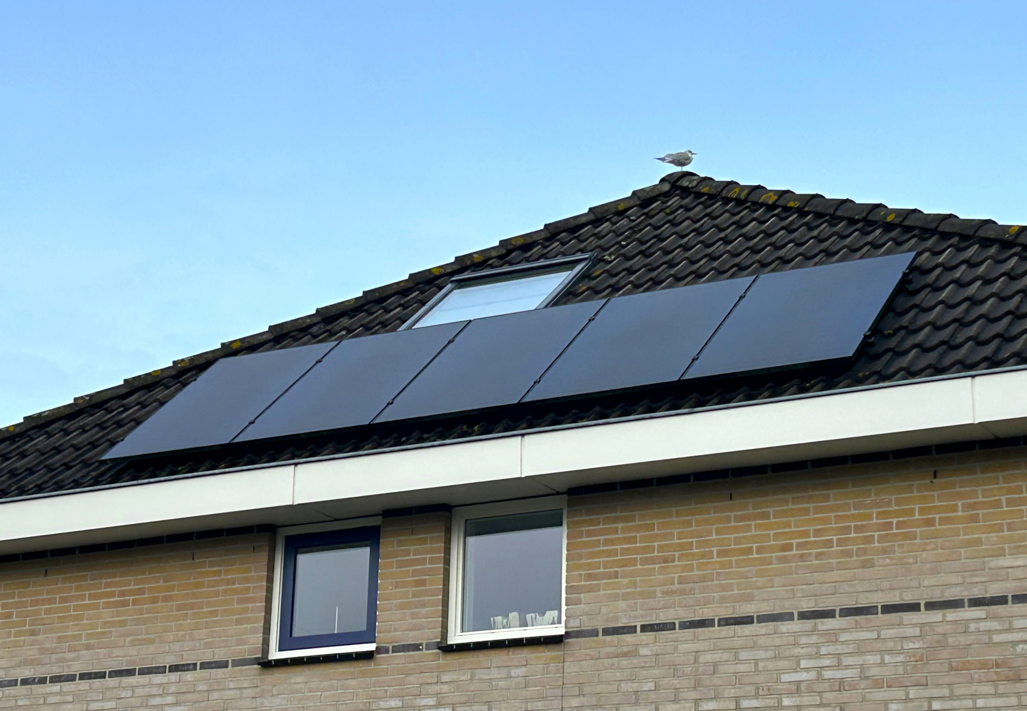 dak-zonnepanelen fotoEvertBuiten