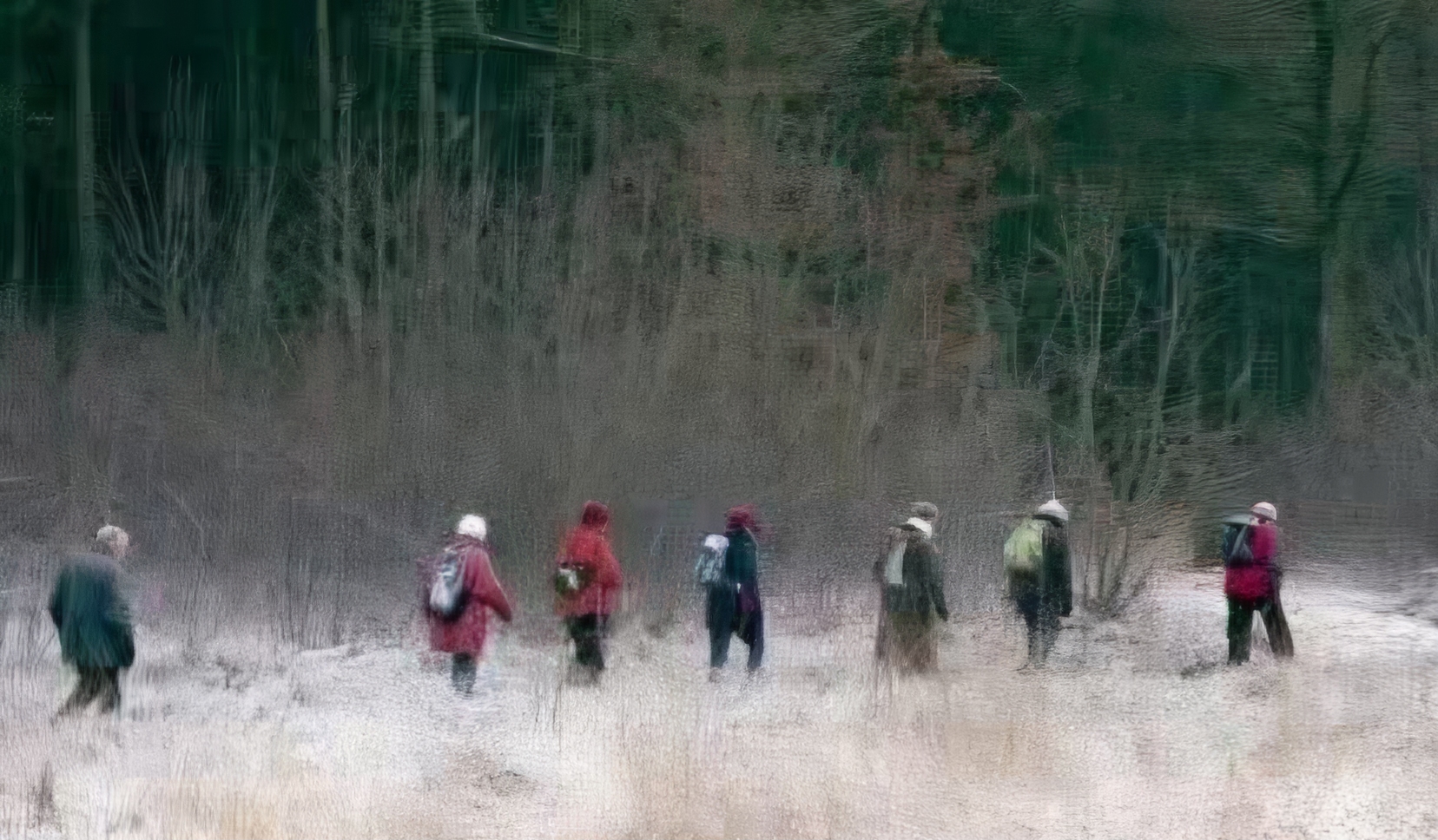 Wandeling Noordsche Veld