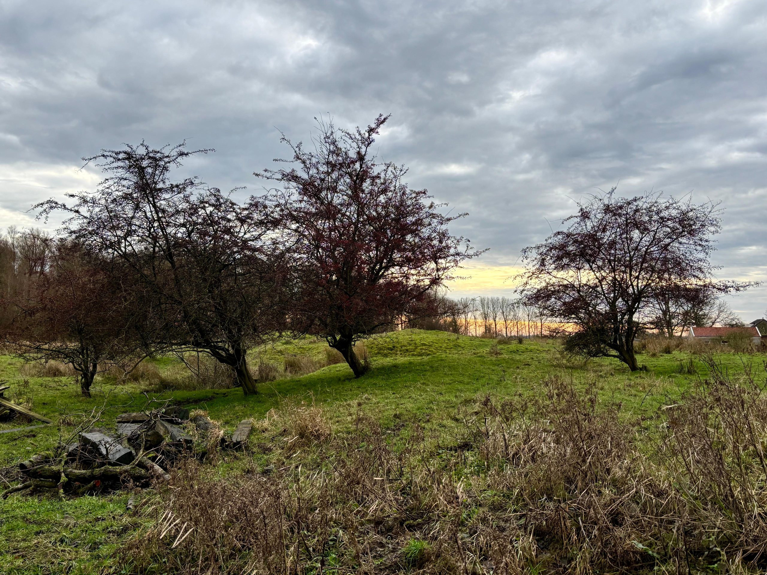 Natuurbegraafplaats Horstenhof