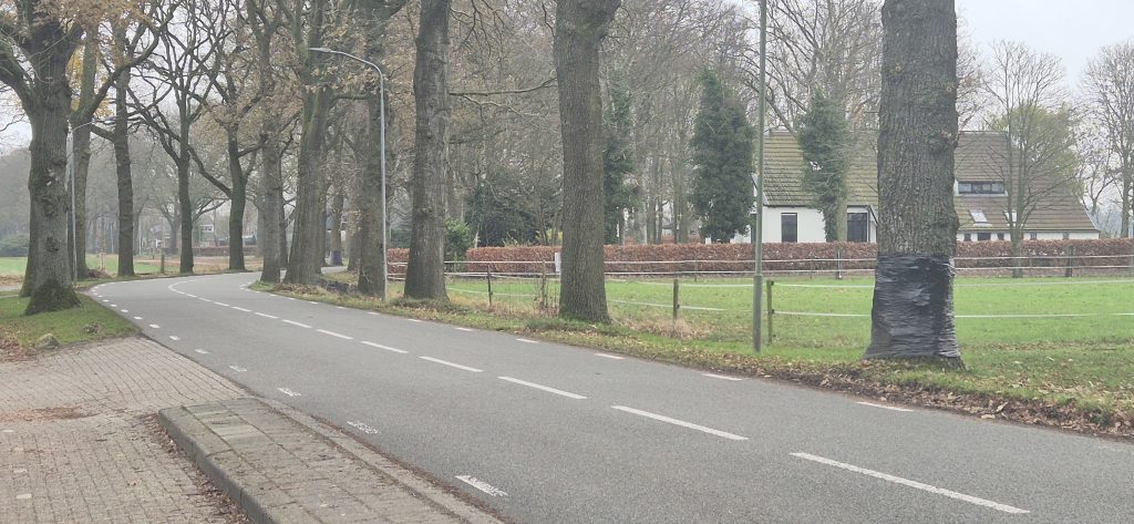 Foto: Michel Tinge/RTV Zulthe