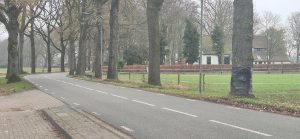 Foto: Michel Tinge/RTV Zulthe