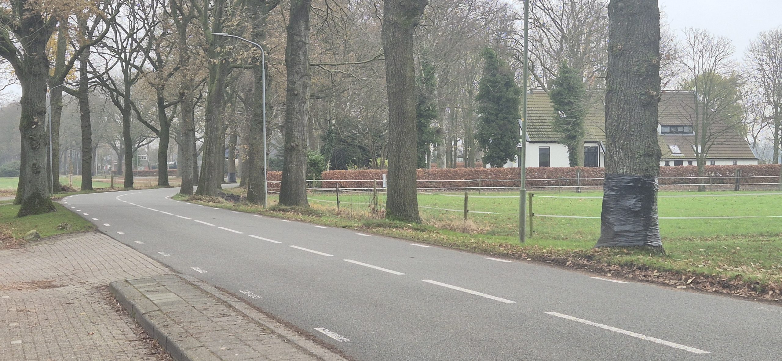 Foto: Michel Tinge/RTV Zulthe