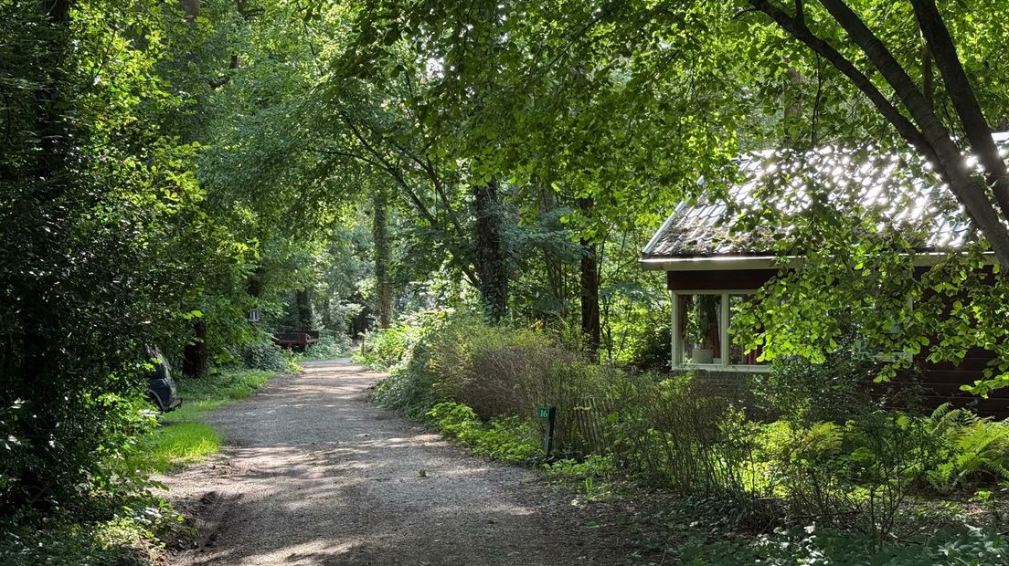 huisje in de Oosterduinen - foto Mart Beuker RTV Drenthe