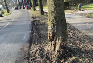 Foto: Eelke Wiegersma / RTV Zulthe