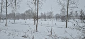 Foto: Michel Tinge/RTV Zulthe