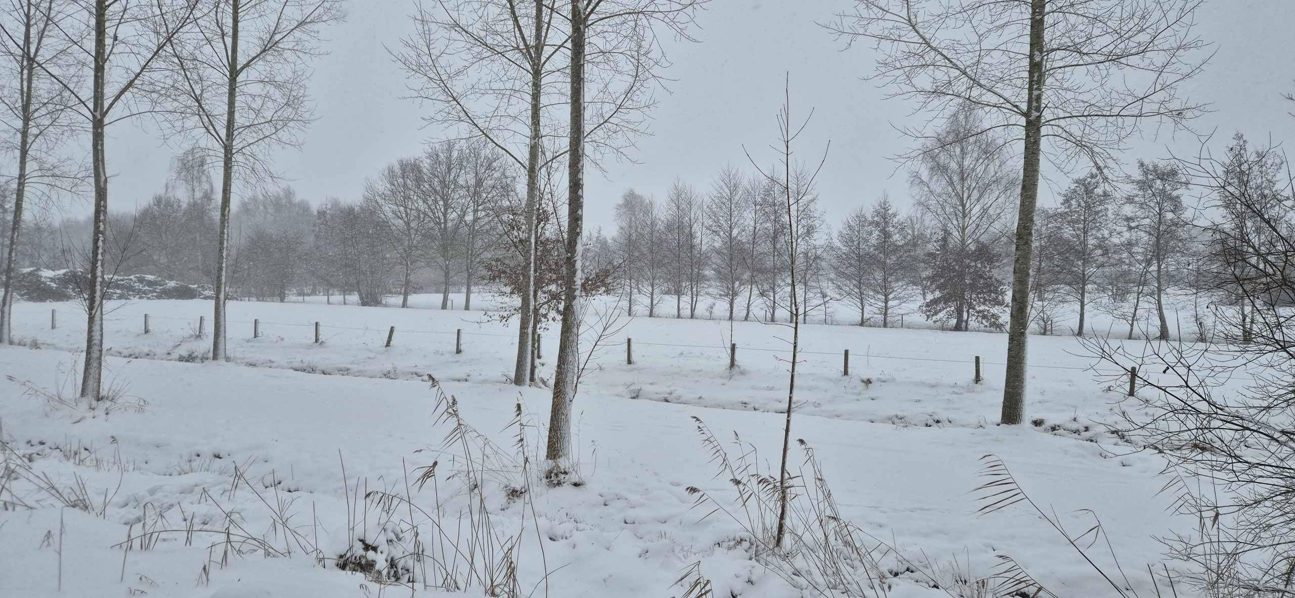 Foto: Michel Tinge/RTV Zulthe