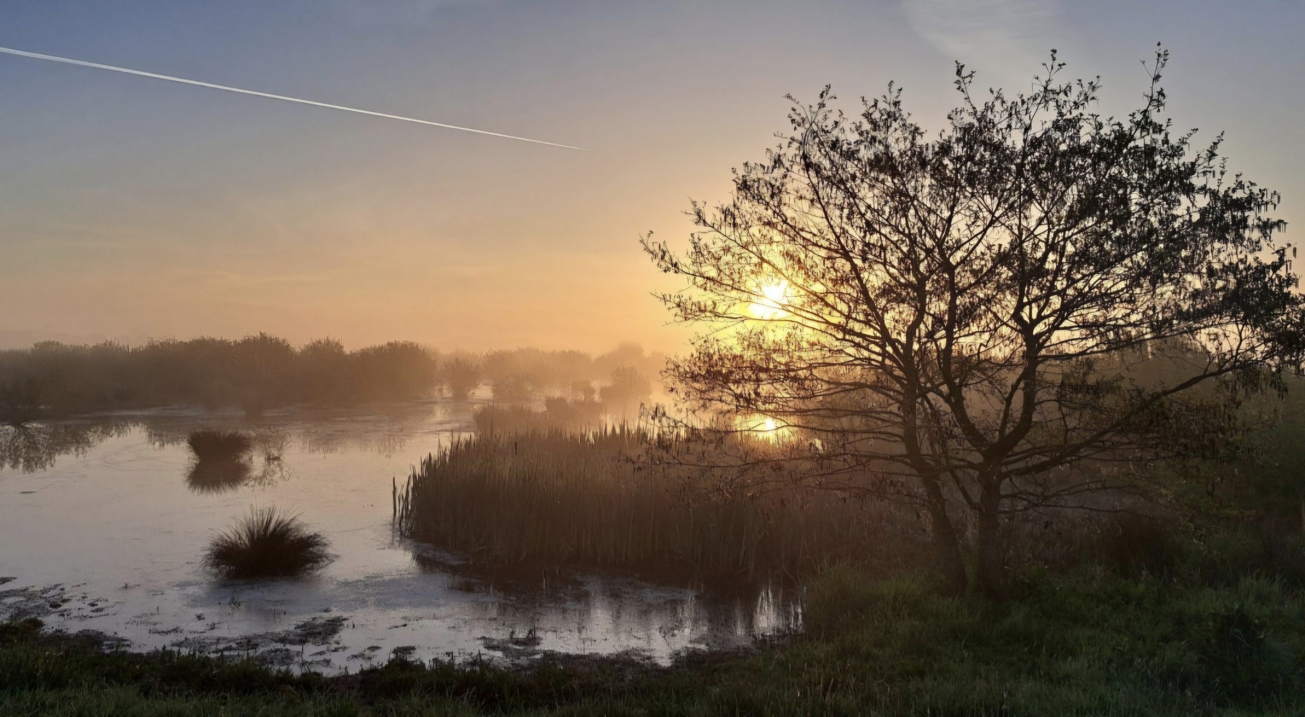 Zonsopkomst De Onlanden