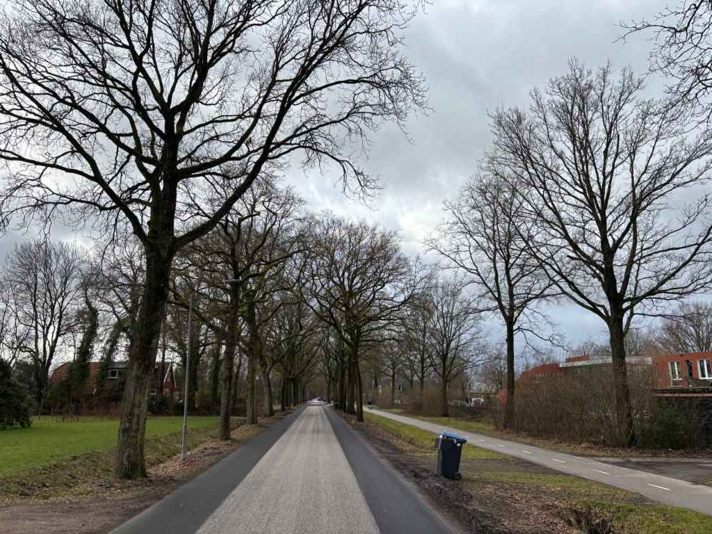 Zevenhuisterweg gaat vier weken dicht voor herinrichting