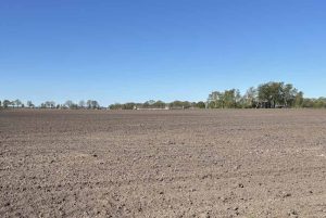 Gemeente Noordenveld gaat niet mee in verzoek van Meten=Weten om verbod op gebruik van pesticiden bij lelieteelt bij Nieuw-Roden