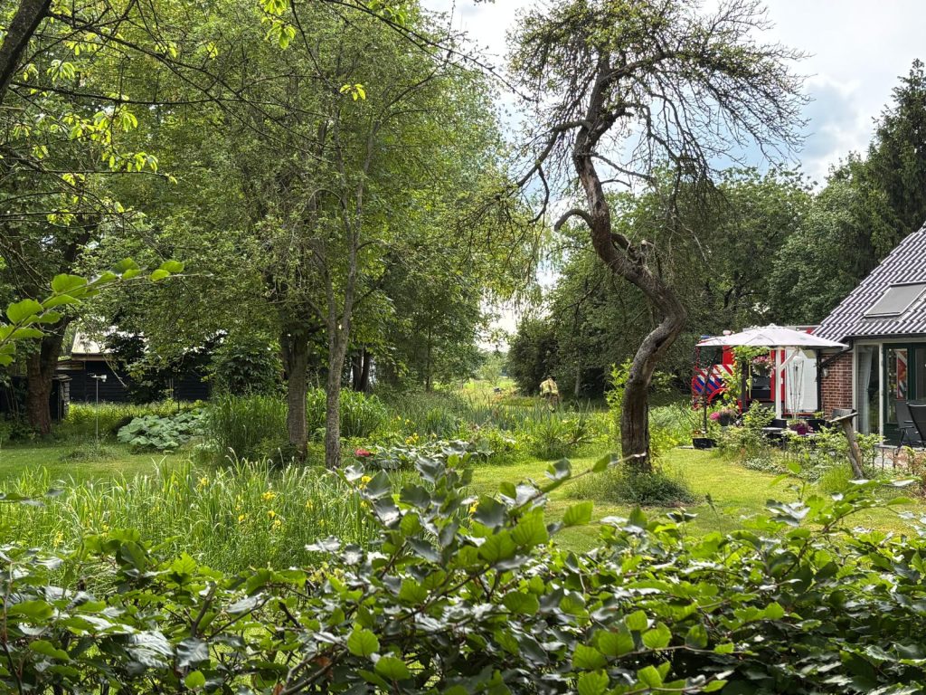Korte brand in sauna Westervelde gauw geblust