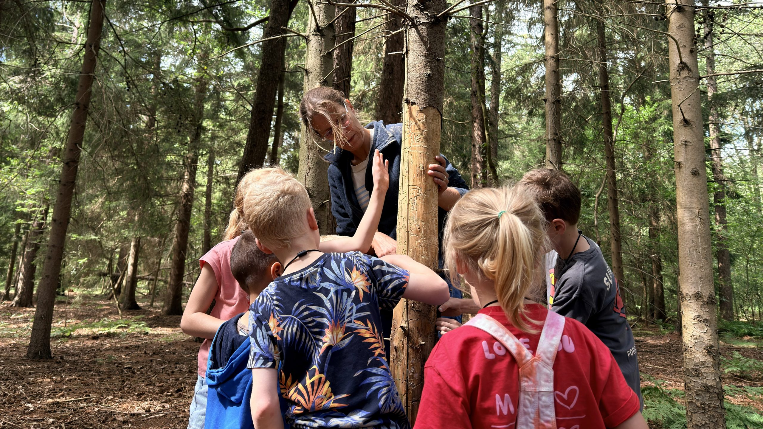Noordsche Veld activiteit