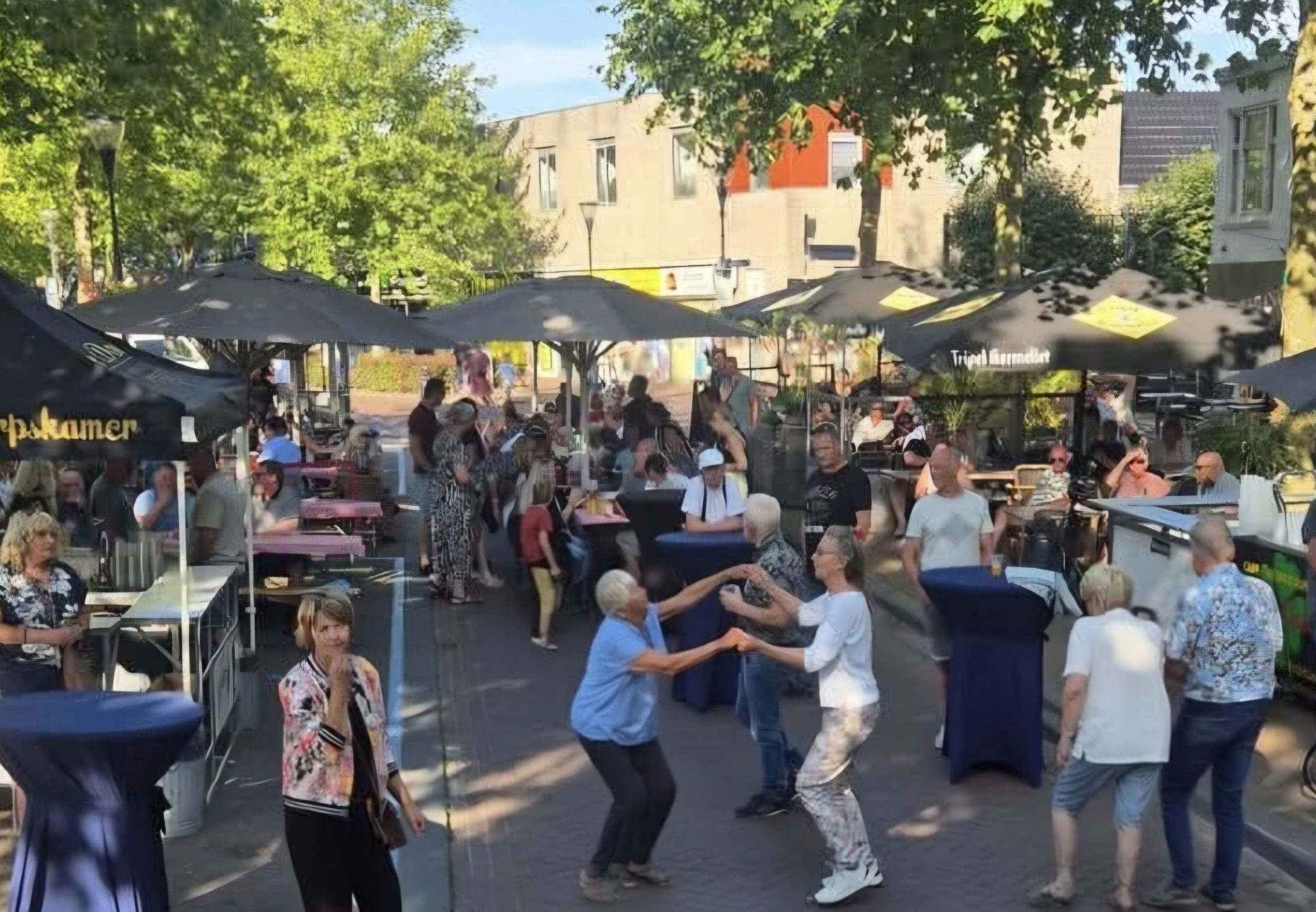 ‘De Dam Live’ brengt vier muziekmiddagen naar Leek