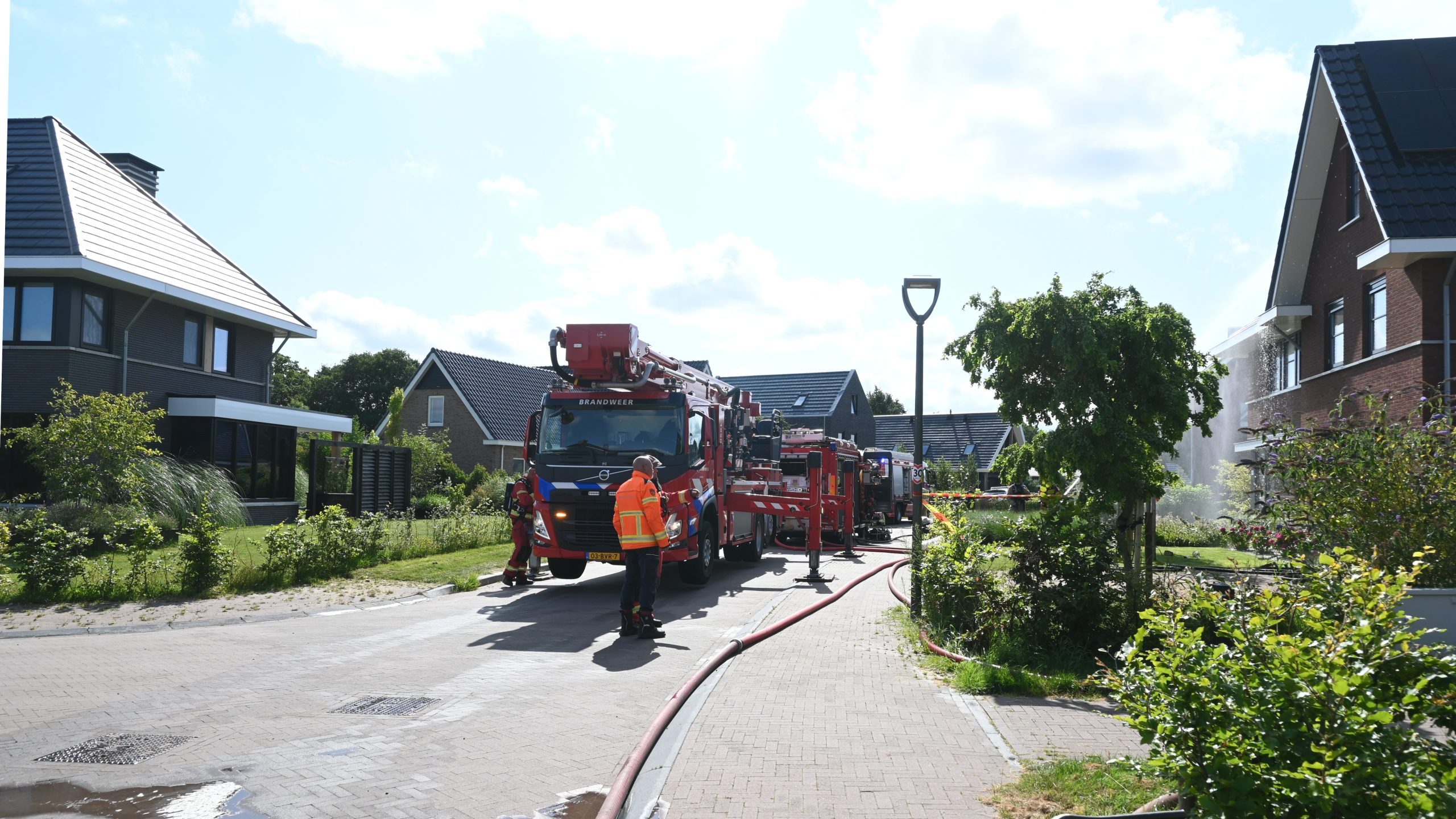 Foto Brand Leek Afbeelding 5