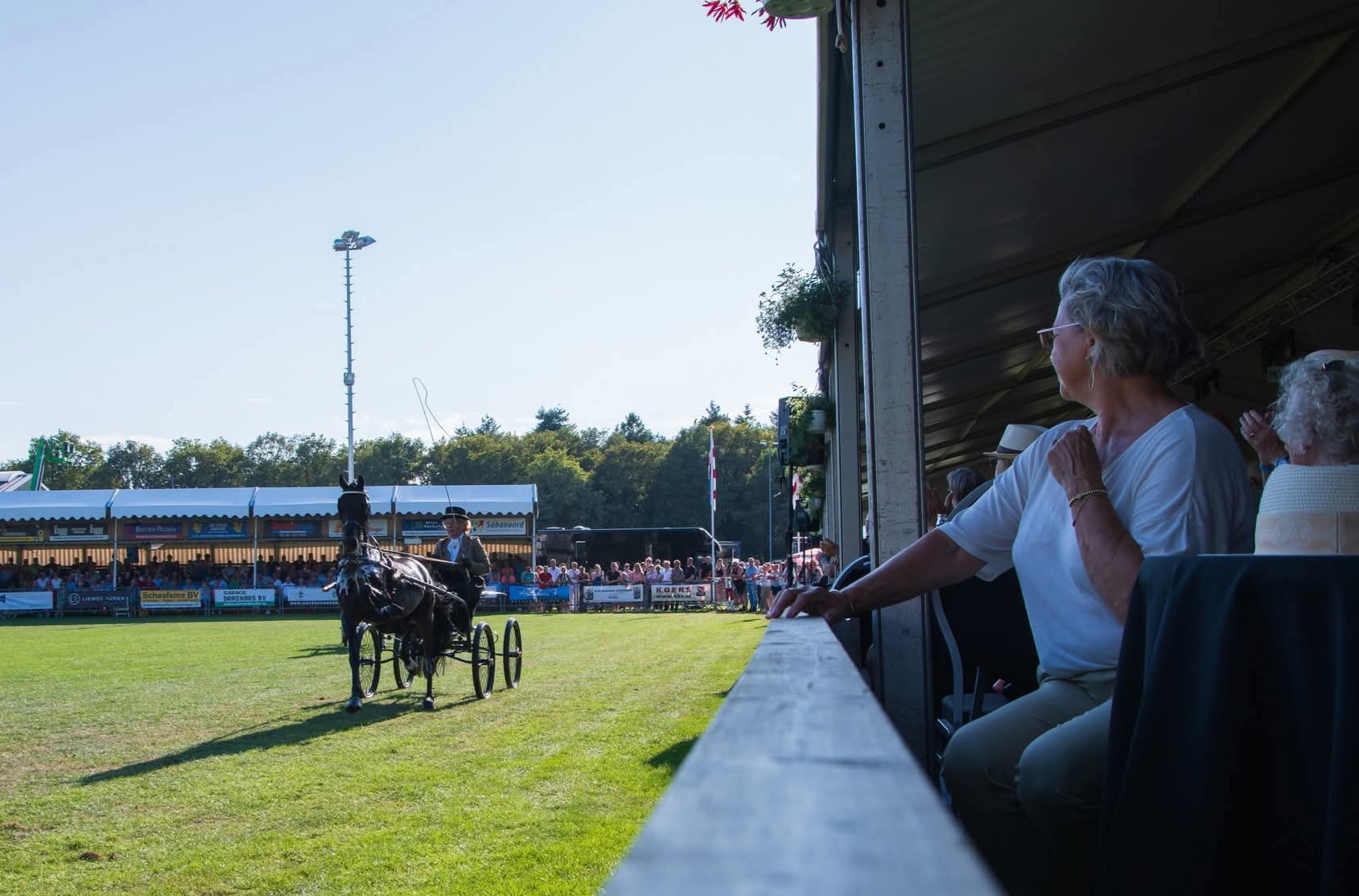 Tuigpaarden Norg Concours