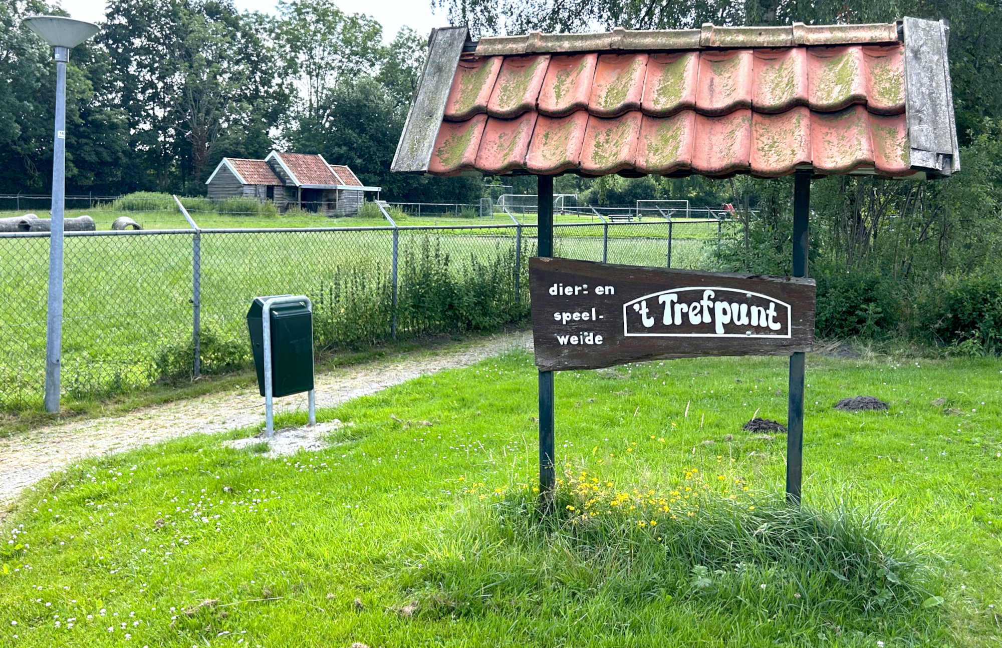 dierenweide Trefpunt Sebaldeburen 01 Evert Buiten 10-07-2026