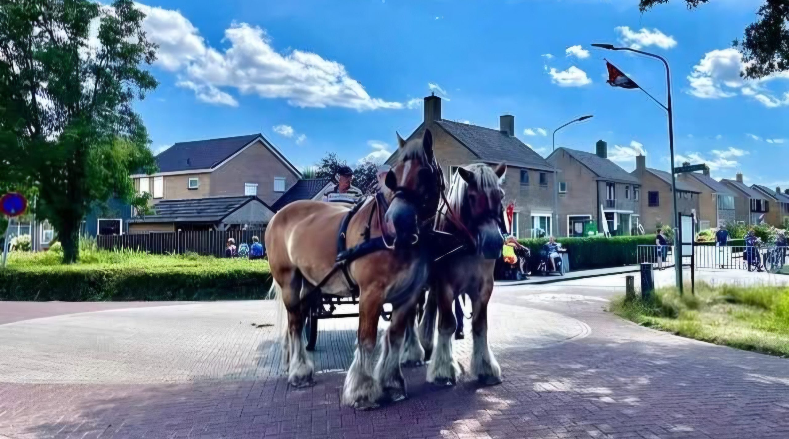 Ringsteken Zevenhuizen