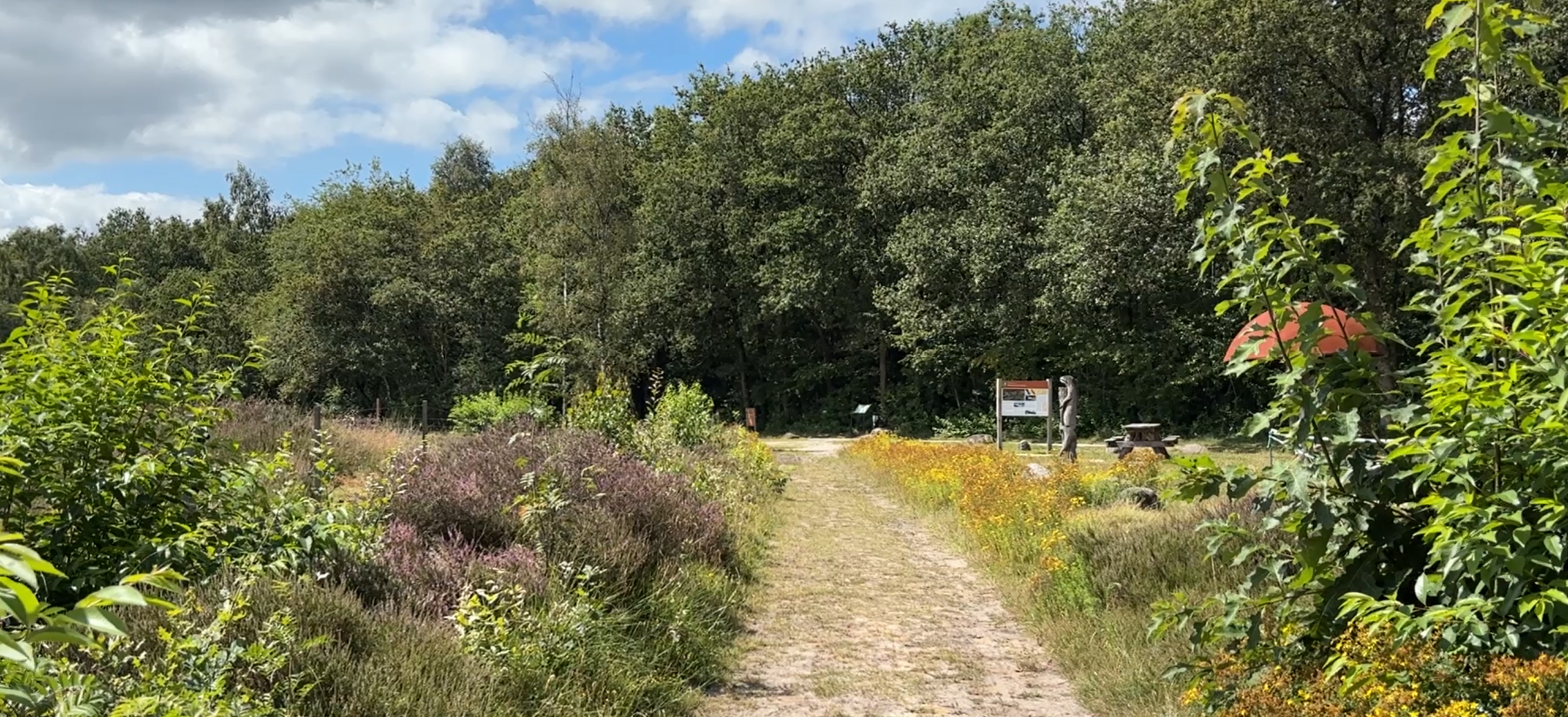 Noordsche Veld Norg