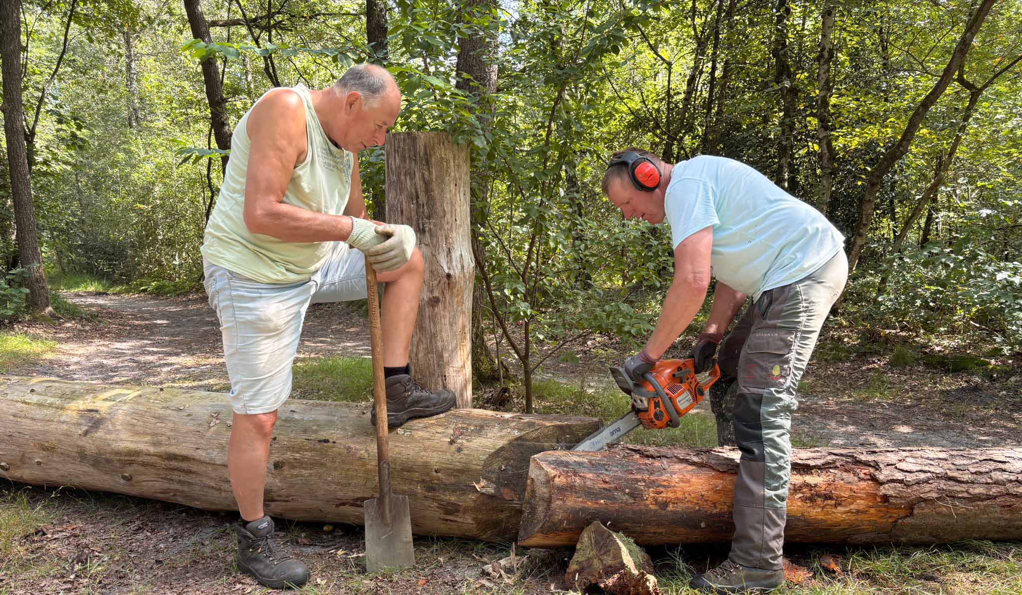 Vrijwilligers van Eventing Norg werken hard aan opbouw parcours