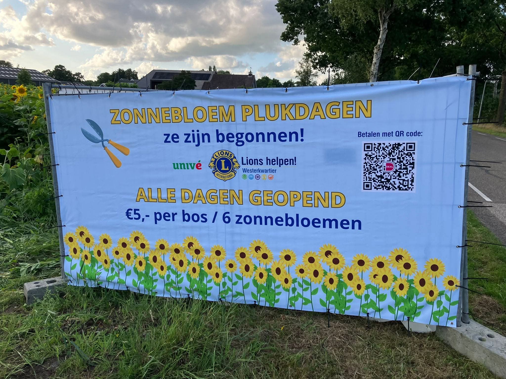 Zonnebleom plukdagen