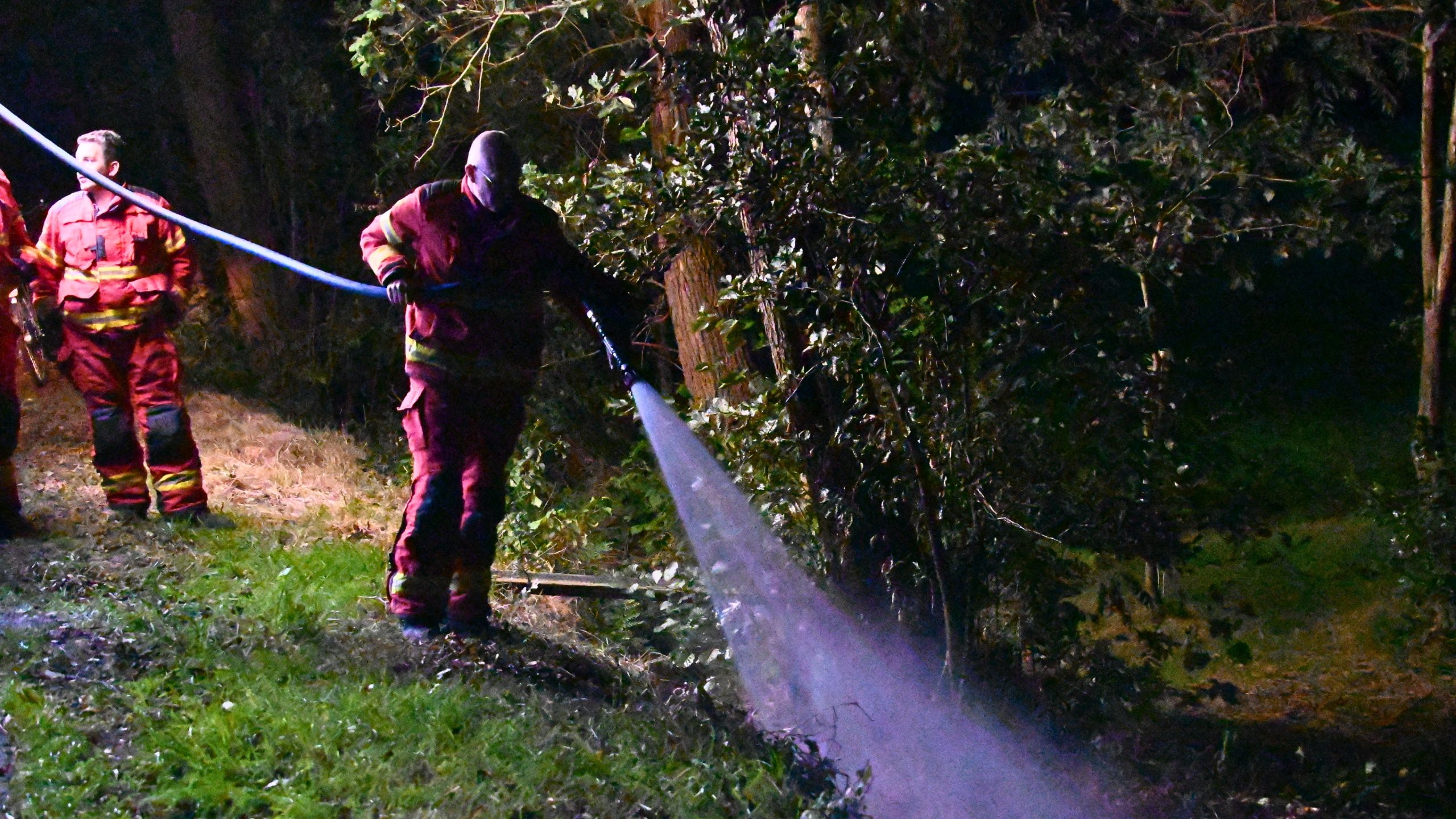 Bermbrand Doezum Afbeelding 6