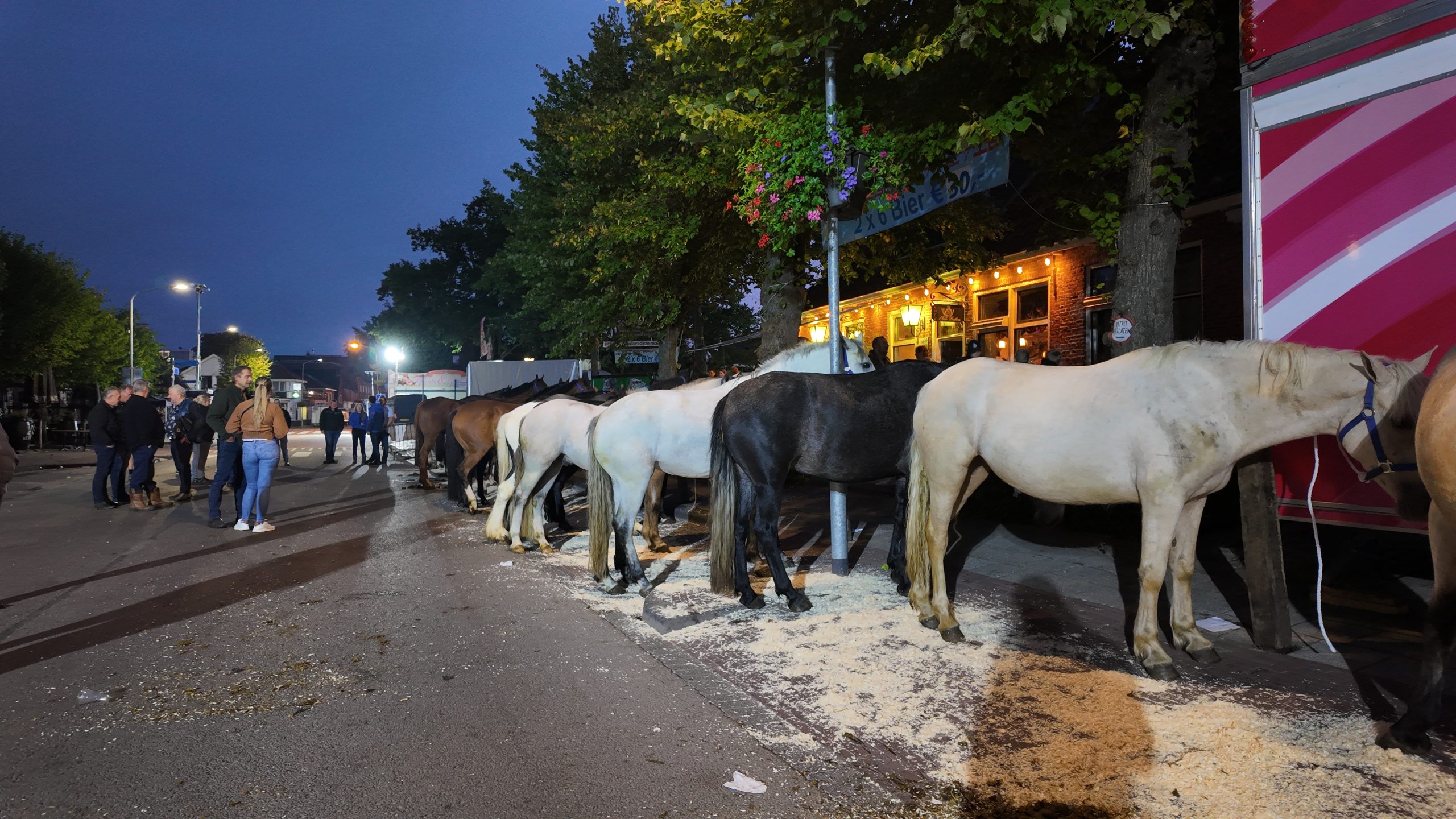 Paardenmarkt Afbeelding 1