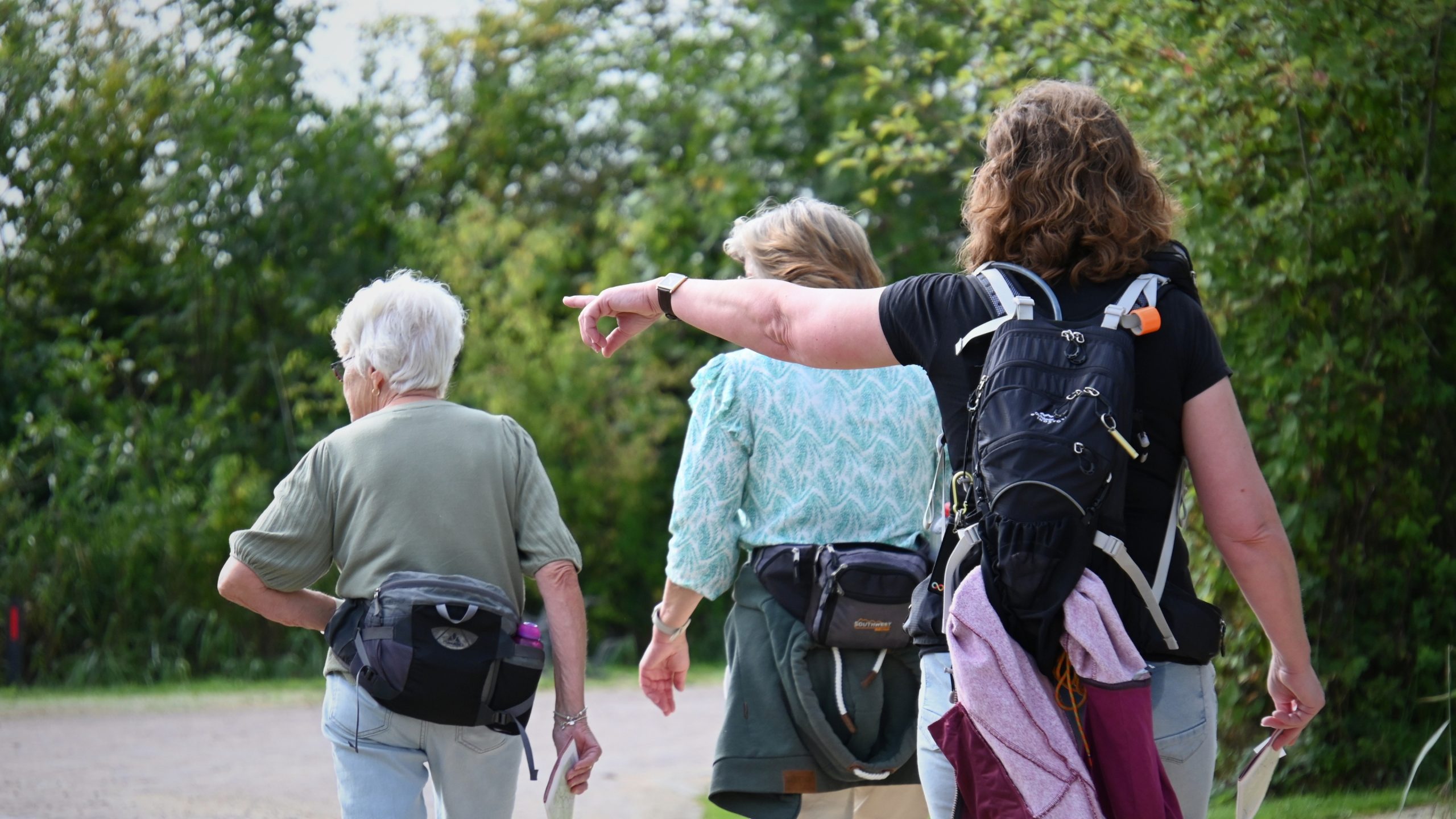 STAPPEN TEGEN DEMENTIE AFBEELDING 1