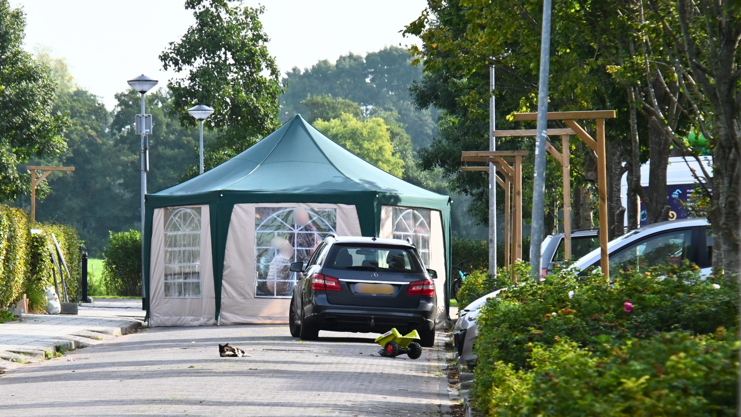 Steekvlam De Wilp Afbeelding 1