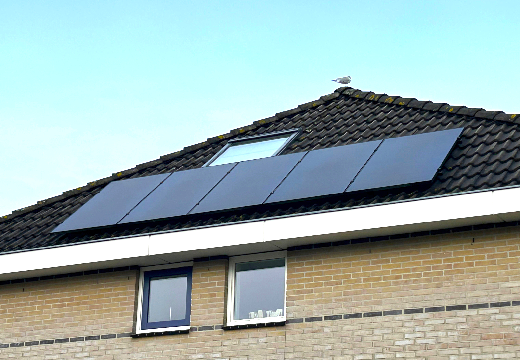 dak-zonnepanelen-fotoEvertBuiten 11-2025