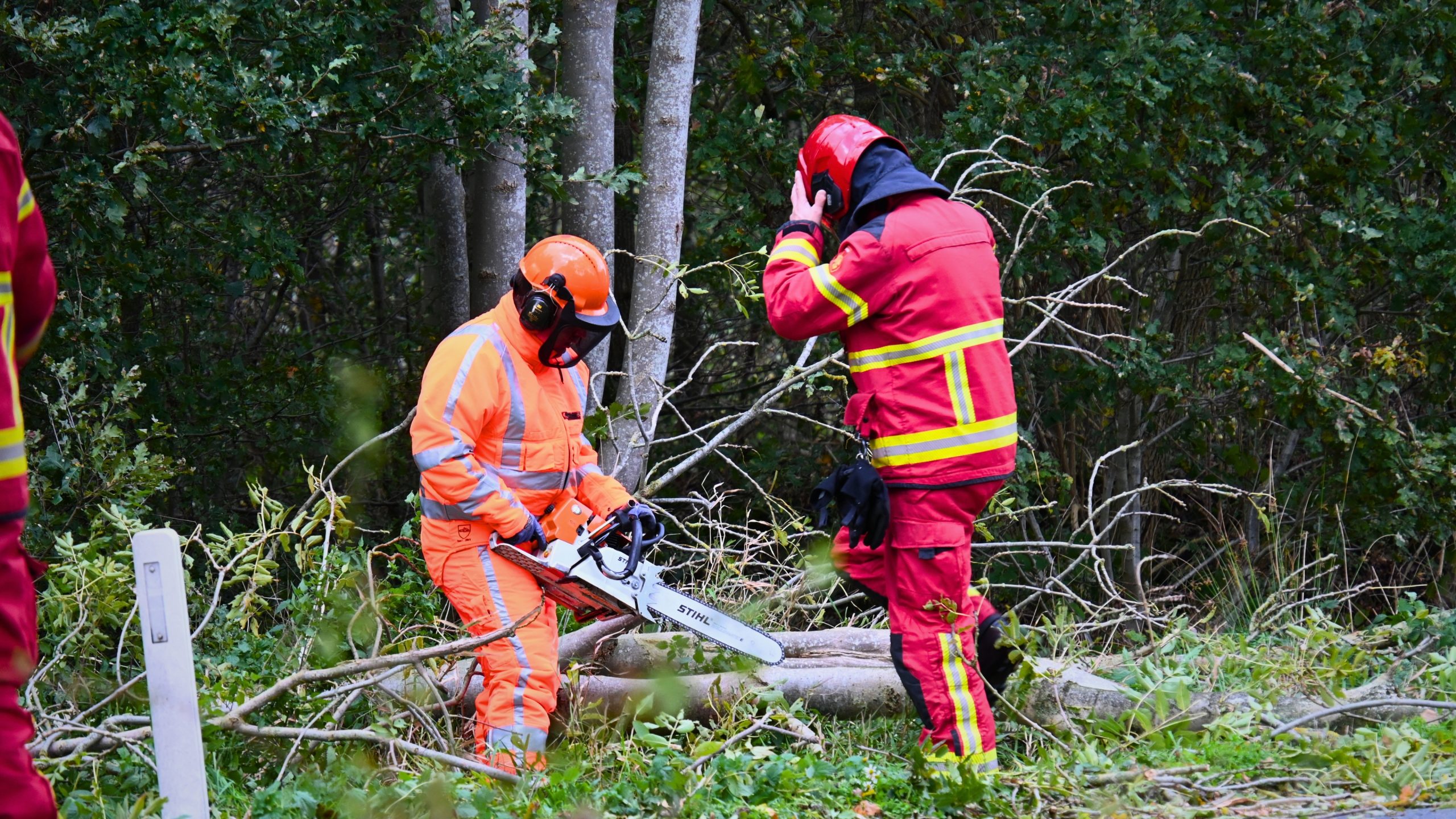 Boom oprit a7 Boerakker Afbeelding 3